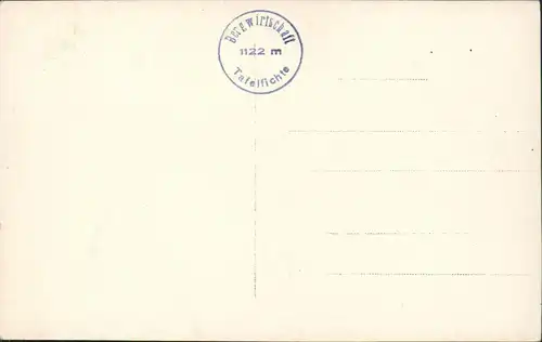 Neustadt Tafelfichte Nové Město Aussichtsturm    Smrk Isergebirge 1929