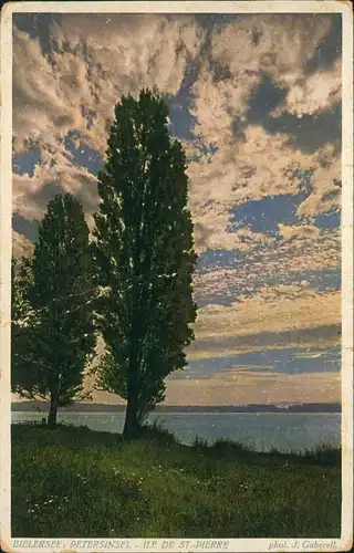 Ansichtskarte Biel Bienne Bielersee Lac de Bienne 1932