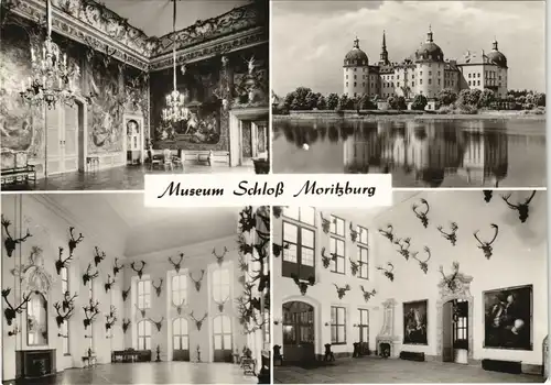 Ansichtskarte Moritzburg Kgl. Jagdschloss 1976
