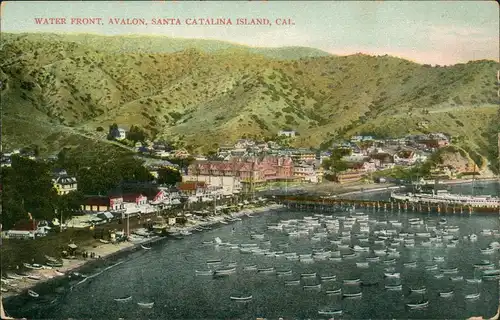 Postcard Santa Catalina Island California Water Front - USA 1911