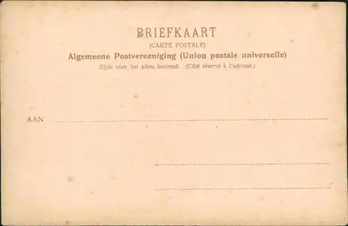 Postkaart Den Haag Den Haag In de Scheveningsche boschjes 1903
