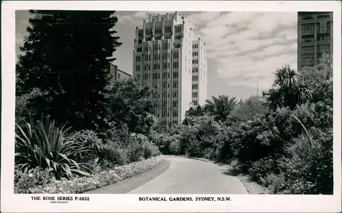 Postcard Sydney Botanical Gardens, Hochhäuser - Fotokarte 1946