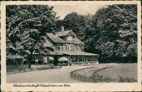 Ansichtskarte Schöppenstedt Waldwirtschaft Tetzelstein im Elm. 192928