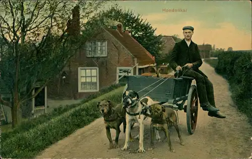 Postkaart .Niederlande Holland Hondenkar Mann auf Hundekarren Typen 1911