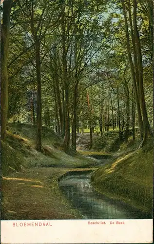 Postkaart Bloemendaal Boschvliet. De Beek 1905