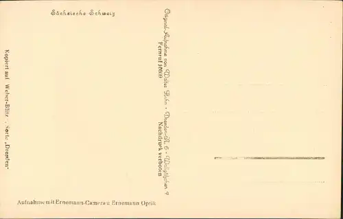 Ansichtskarte Rathen Elbdampfer, Oberrathen 1927 Walter Hahn:2951