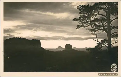 Ansichtskarte Bad Schandau Falkenstein 1931 Walter Hahn:166