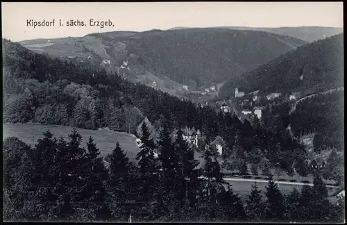 Ansichtskarte Kipsdorf-Altenberg (Erzgebirge) Panorama-Ansicht 1910
