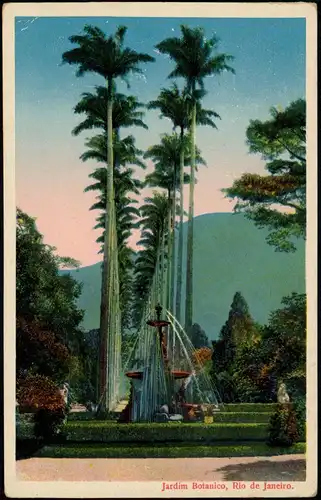 Postcard Rio de Janeiro Jardim Botanico 1928
