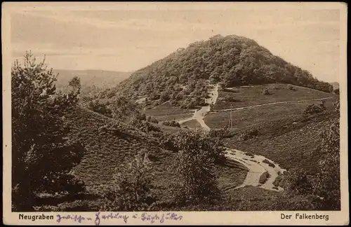 Ansichtskarte Neugraben Fischbek-Hamburg Weg zum Falkenberg 1928