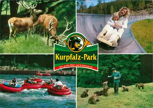 Wachenheim an der Weinstraße Kurpfalz-Park Wild Erlebnispark Mehrbildkarte 1990