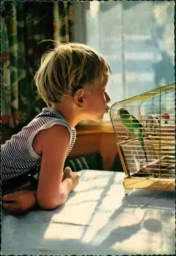 Menschen Soziales Leben (Kinder) Kind Junge vor Vogel-Käfig (Wellensitich) 1970