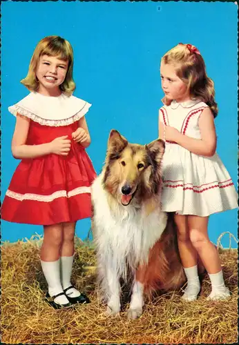 Menschen Soziales Leben (Kinder) Mädchen mit Hund (Collie) 1970