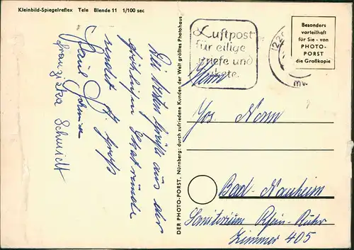 Ansichtskarte  Tiere Pinguine Penguin "Was gibt`s Neues?" 1960