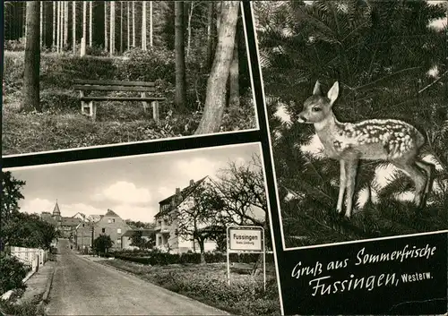 Fussingen-Waldbrunn (Westerwald) FUSSINGEN Westerwald Ortsansicht 1971