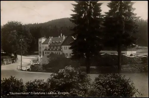 Erlabrunn-Breitenbrunn Erzgebirge Täumerhaus, Fotokarte 1927 Bahnpoststempel
