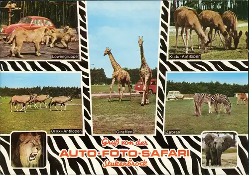 Schloß Holte-Stukenbrock Hollywood- und Safaripark Stukenbrock 1971