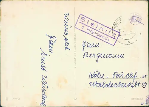 Glückwunsch Pfingsten Maikäfer 1950   gelaufen mit Landpoststempel STEINITZ