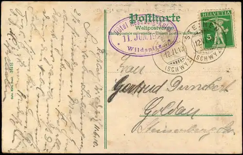 Ansichtskarte Goldau (Arth SZ) Rossberg-Kulm (Wildspitz) Kühe 1910