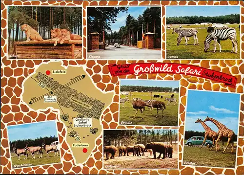 Schloß Holte-Stukenbrock SENNE - GROSSWILD - SAFARI Park Mehrbildkarte 1982/1973