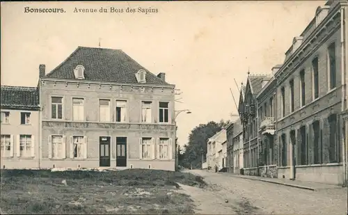 CPA Bonsecours Avenue du Bois des Sapins 1912
