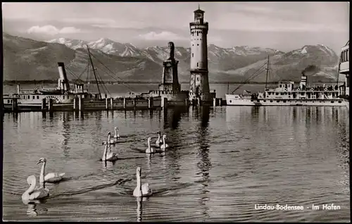 Ansichtskarte Lindau (Bodensee) Hafen, Dampfer - Schwäne 1956