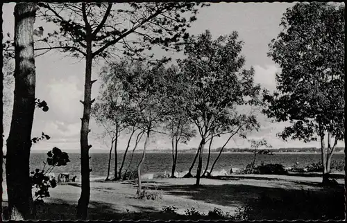 Ansichtskarte Timmendorfer Strand Strand Blick zur Ostsee 1955