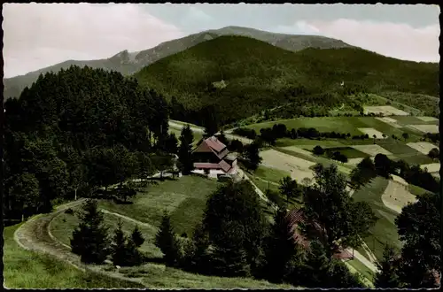 Ansichtskarte Schopfheim Gasthaus und Pension HALDENHOF 1963  gel 15 Pfg. Heuss