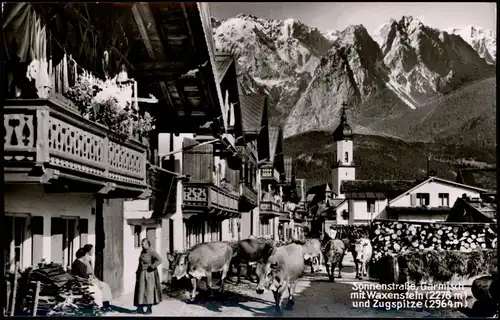 Ansichtskarte Garmisch-Partenkirchen Sonnenstraße, Viehabtrieb 1963