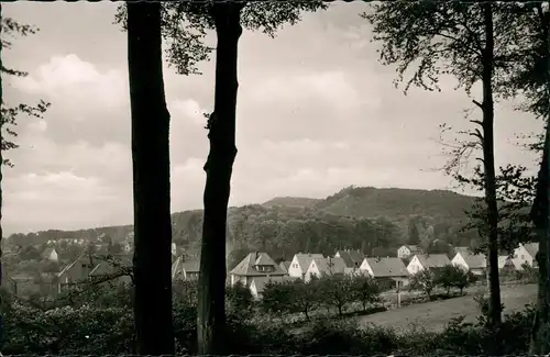 Ansichtskarte Steinbergen-Rinteln Teilansicht Steinbergen Wesergebirge 1955