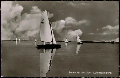 Ansichtskarte Steinhude-Wunstorf Segelboote, Abendstimmung 1961