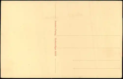 Ansichtskarte  Udsigt fra Sanatoriet Schiffe Dampfer Steamer Kolding  1922