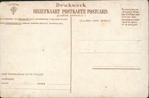 Postkaart Marken-Waterland Insel Marken Typen frecher Junge 1911