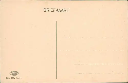 Postkaart Den Haag Den Haag Brug Sweelinckplein. 1911