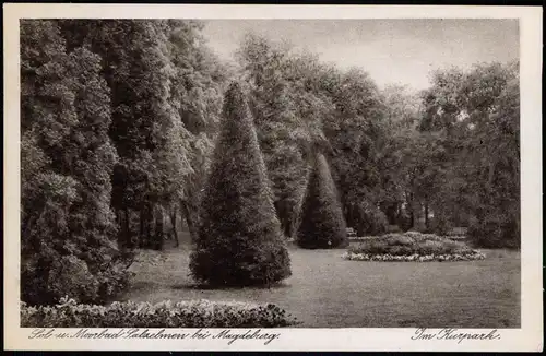Ansichtskarte Bad Salzelmen-Schönebeck (Elbe) Im Kurpark. 1932