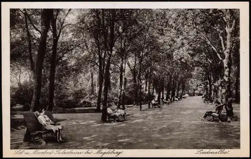 Ansichtskarte Bad Salzelmen-Schönebeck (Elbe) Lindenallee. Kuranlagen 1930