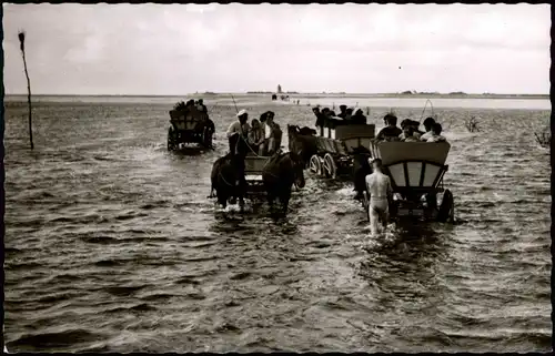 Duhnen Cuxhaven Begegnung der Wattwagen im Priel Fahrt auf dem Meeresgrund 1961