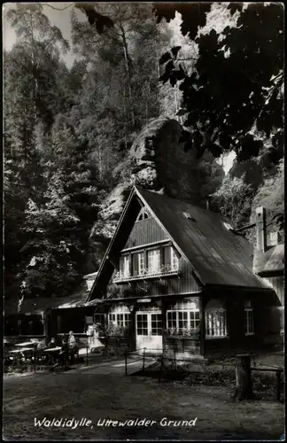 Ansichtskarte Wehlen Haus Waldidylle 1966