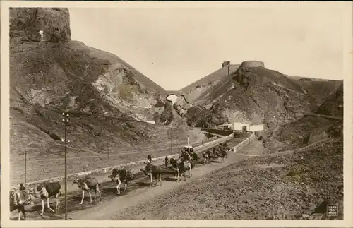 Postcard Aden Jemen عدن Caravane - Stadtmauer 1926