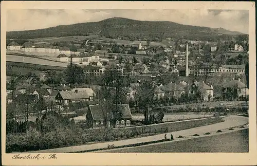Ebersbach/Sa.-Ebersbach-Neugersdorf Kottmar, Fabrik und Polizeisiedlung 1929