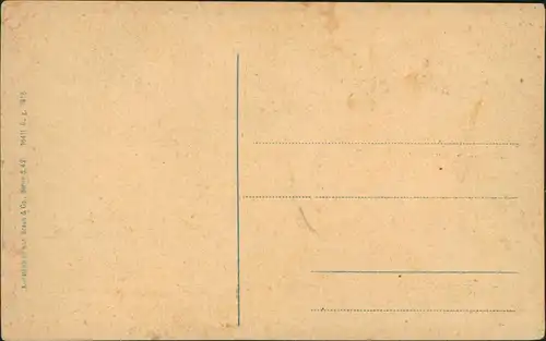 Ebersbach/Sa.-Ebersbach-Neugersdorf Stadtpartie Umgebindehäuser 1918