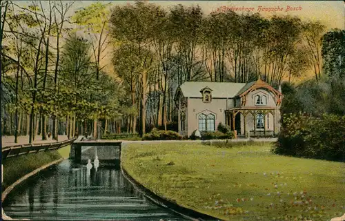 Postkaart Den Haag Den Haag Haagsche Bosch 1911
