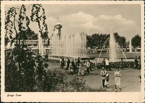 Ansichtskarte Essen (Ruhr) Grugapark - Springbrunnen 1961