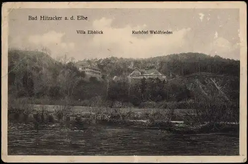 Ansichtskarte Hitzacker (Elbe) Villa Elbblick Kurhôtel Waldfrieden 1922