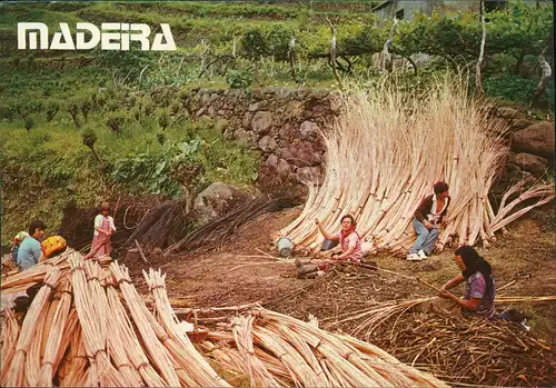 Postcard Funchal Préparation de l'Osier Wicker Preparation 1988