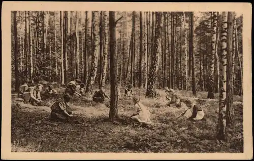 Liegau-Augustusbad-Radeberg Herzheilstätte Bethlehemstift Kinder im Wald 1922