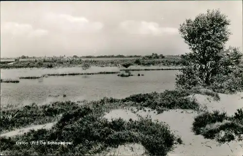 Postkaart .Niederlande Elsloo (Fr.) De Schapepoel 1960