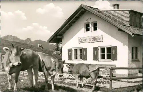Ansichtskarte Nesselwang Enzian Stüble am Sessellift (Kühe) 1960