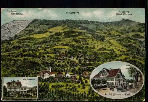 Steinerberg (Schwyz) 3 Bild: Künstlerkarte Villa Aufdermauer Gasthof Rössli 1911