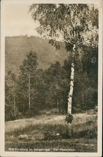 Postcard Bad Flinsberg Świeradów-Zdrój Der Hasenstein 1931